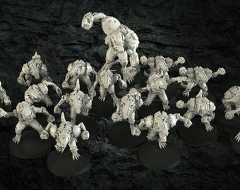 Equipo de fútbol de ratas de 16 minis.