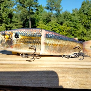 May include: A realistic-looking fishing lure with a silver, brown, and black paint scheme. The lure has a jointed body and is designed to mimic a baitfish. It has three treble hooks.