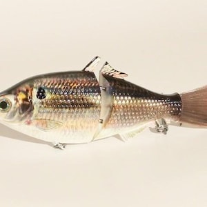 May include: A realistic-looking fishing lure shaped like a silver fish with a brown tail. The lure has a detailed paint job with silver scales and a black eye.