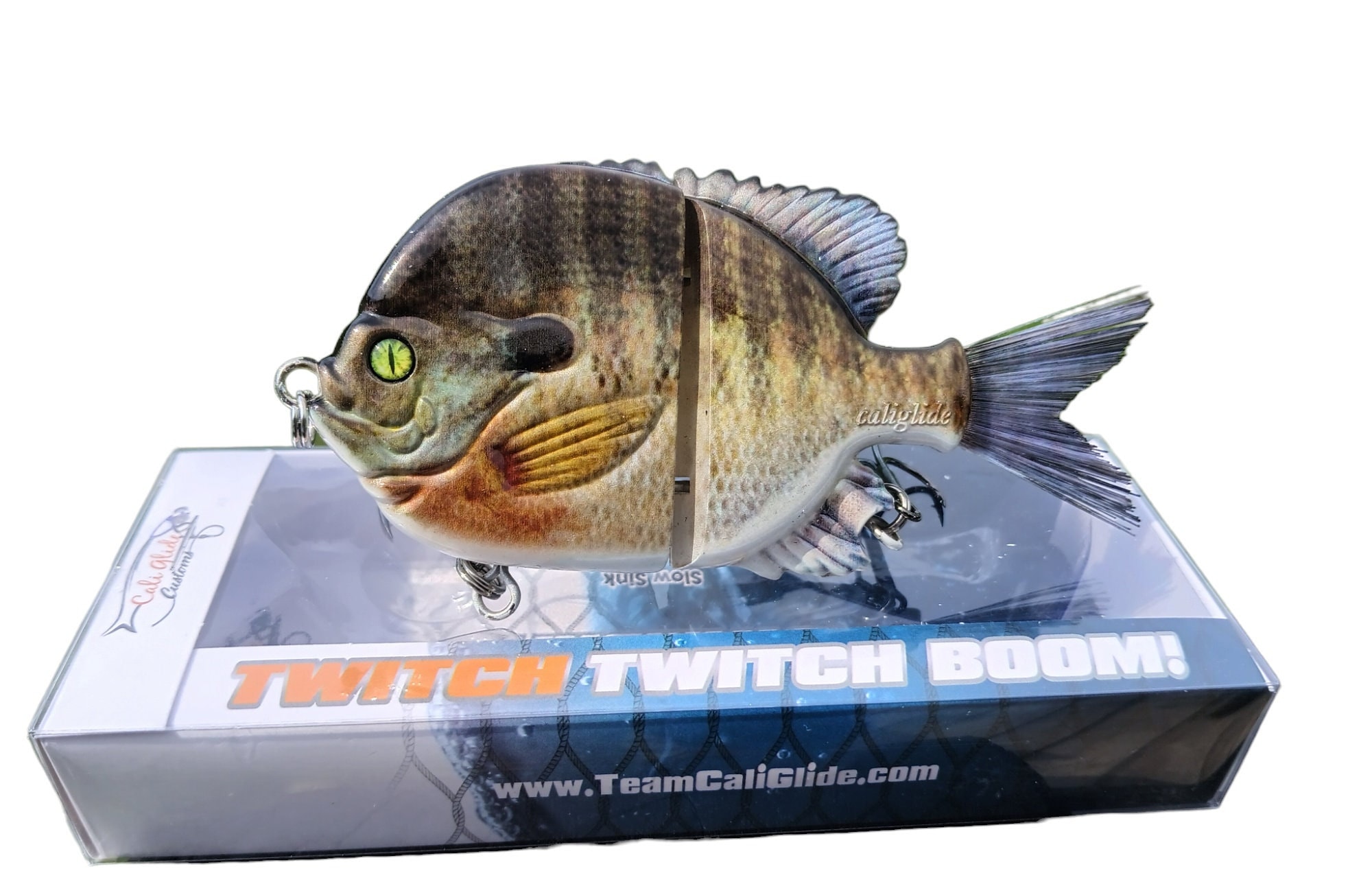 5" Twitch Twitch Boom Baby Bluegill - Etsy