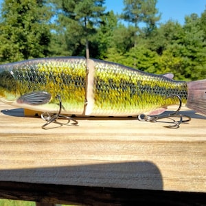 daiwa fishing pole BFSSS862MHFS Beefstick Salmon Steelhead Striper Spinning Rod Color:304 Halfbeak Inseam Tapered brass tube fly 1 Ball Bearing Aluminum