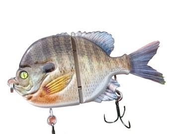 Fish 30 Acre Deluxe Gill Clone | Custom Painted| Blue Gill Swimbait - Etsy
