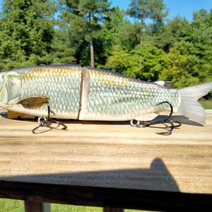 May include: A silver and white fishing lure shaped like a fish with a realistic design. The lure has three treble hooks and is designed to mimic a baitfish.