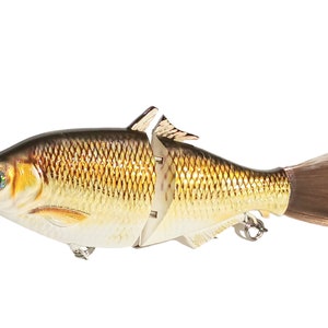 Leurre Hinkle Shad Clone Golden Shiner 9" Swimbait Custom Peint - Neuf
