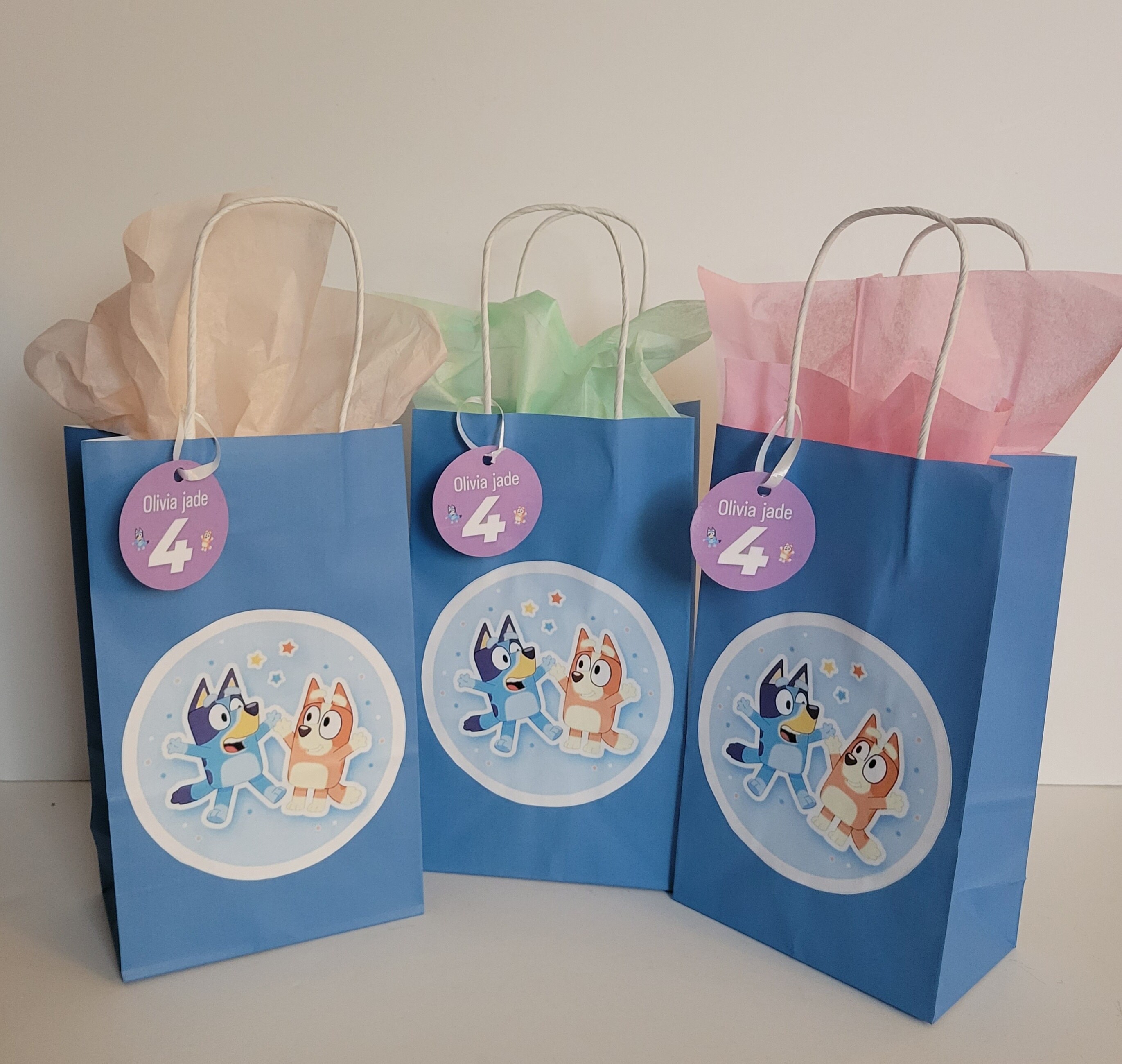 Bluey Paper Bags with Custom Tags