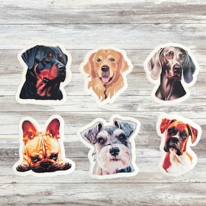 Pack d'autocollants imperméables pour races de chiens - Boxers, Huskies, Shih Tzu, Cairn Terrier, Poméranie et plus encore ! Ensemble d'autocollants imperméables pour amoureux des chiens