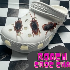 Cockroach Shoe Charm // Roach // Realistic Bugs // Crocroach // Handmade // Creepy // Shoe Charms // Crawlie // Insects //