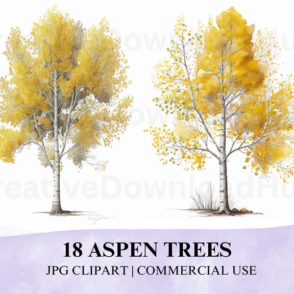 18 JPG Aspen Trees Watercolor Clipart Download, Aspen Tree JPG, Clipart Aspen Trees in Watercolor, Watercolor Trees Clipart, Aspen Tree