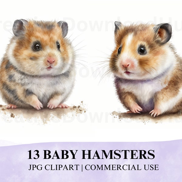 13 JPG Baby Hamsters Watercolor Clipart Download, Hamsters Clipart JPG, Watercolor Baby Hamsters for Scrapbooking JPG, Cute Baby Hamster