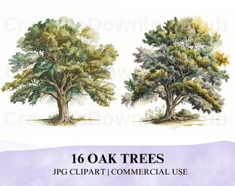 16 JPG Oak Trees Watercolor Clipart Download, Oak Trees Clipart JPG, Watercolor Oak Tree Download, JPG Oak Trees Clipart, Scrapbooking