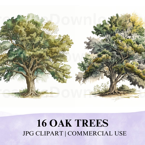 16 JPG Oak Trees Watercolor Clipart Download, Oak Trees Clipart JPG, Watercolor Oak Tree Download, JPG Oak Trees Clipart, Scrapbooking