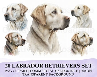 20 PNG Labrador Retriever Watercolor Clipart, Clipart Labrador Retriever, Watercolor Labrador Retriever Dog Head Portrait Clipart, Download