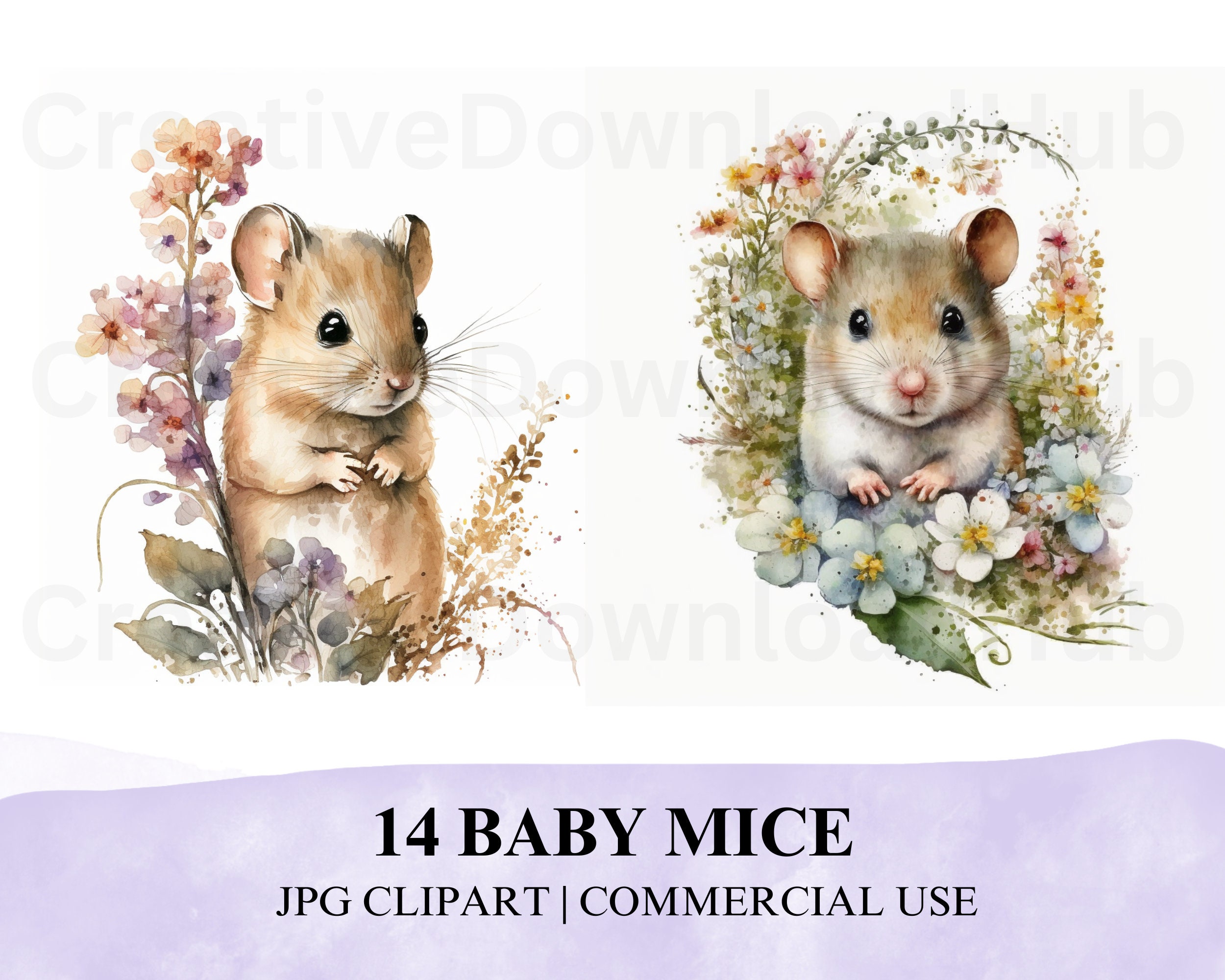 Baby mice on sale