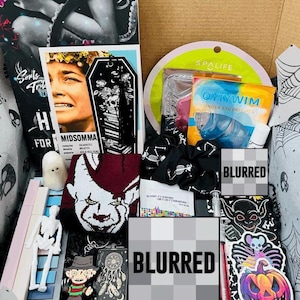 May include: A box containing a selection of items with a spooky theme. Includes a book, bookmark, eye patches, scrunchie, and stickers. The box features a Pennywise sock, a Freddy Krueger keychain, and a skeleton figurine, among other items.