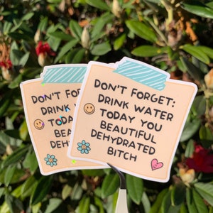 N'oubliez pas : buvez votre eau aujourd'hui, belle chienne déshydratée Sticker note drôle pour soi | Finition brillante ou holographique
