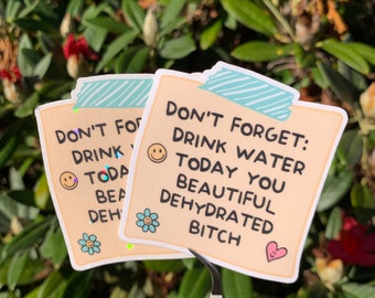 Don’t Forget: Drink Your Water Today You Beautiful Dehydrated Bitch Funny Note To Self Sticker | Glossy or Holographic Finish