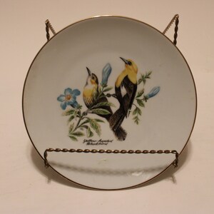 Yellow-headed Blackbird vintage Bareuther Waldsassen (Bavaria) 7.75&#39; hanging plate