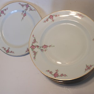 SET of 12 Heinrich & Co, Selb, Bavaria 10&quot; dinner plates, climbing rose floral pattern