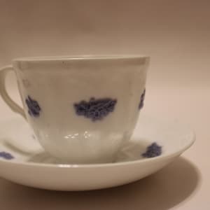 Puede incluir: Juego de taza y platillo de porcelana blanca. La taza y el platillo presentan un delicado estampado floral azul. La taza tiene un asa y se apoya en un platillo a juego. Ideal para servir té o café.