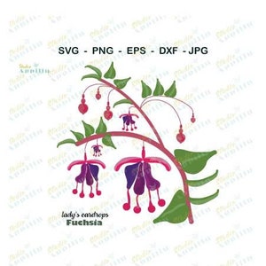Fiore SVG, Fucsia SVG, File SVG fiore viola, Arte vettoriale fucsia, File di taglio fucsia, ClipArt fiore, File di taglio Cricut, Stampa e taglio