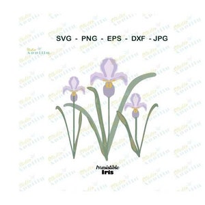Pode incluir: Um design digital de um grupo de íris roxas com caules e folhas verdes. O texto "Pressistible Iris" está abaixo das flores.