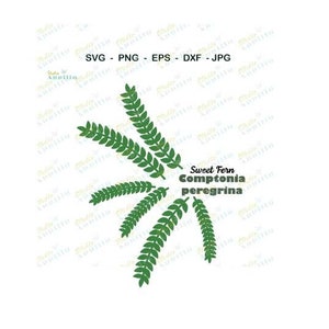 Fern SVG, Green leaves SVG, Fern leaves SVG File, Fern leaves Vector Art, Fern Cut File, Sweet Fern Clip Art, Cricut cut file, Print and Cut