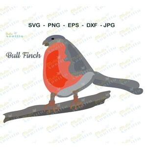 Layered Bird SVG I Finch SVG I Bird Vector Art I Finch bird Cut File I Finch Bird Clip Art I Red Finch bird File di taglio Cricut I Print and Cut