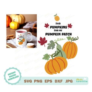 Citrouilles SVG, automne signe SVG, citrouille patch Svg, art vectoriel citrouille, automne Clipart, fichier Cricut, Silhouette impression & coupe fichier, Sublimation