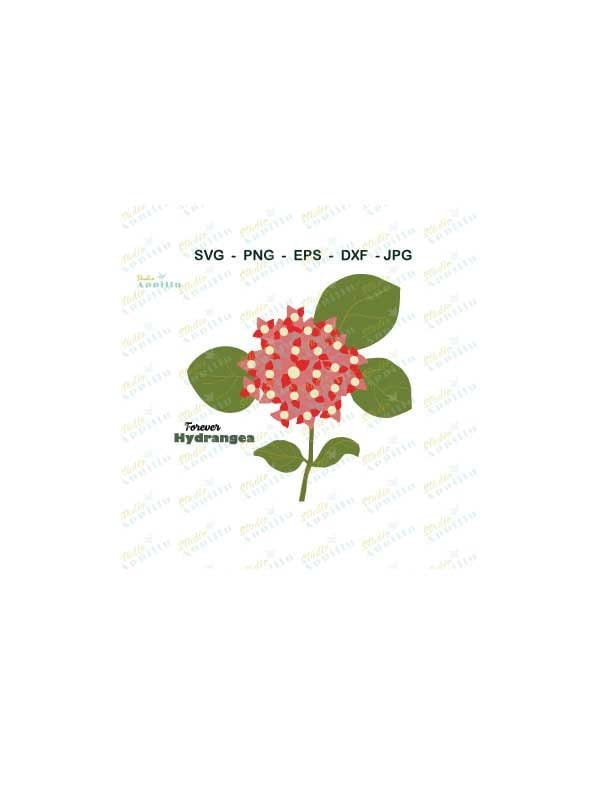 Flower SVG I Hydrangea SVG I Mophead SVG File I Hydrangea Vector Art I ...