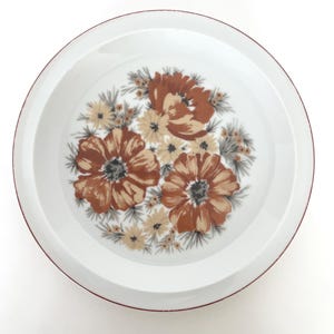 Set of 2 Vintage Mountain Wood Royal Domino Collection Japan Salad Plates/Retro Kitchen/vintage dishware/Fall Autumn colors/brown flowers