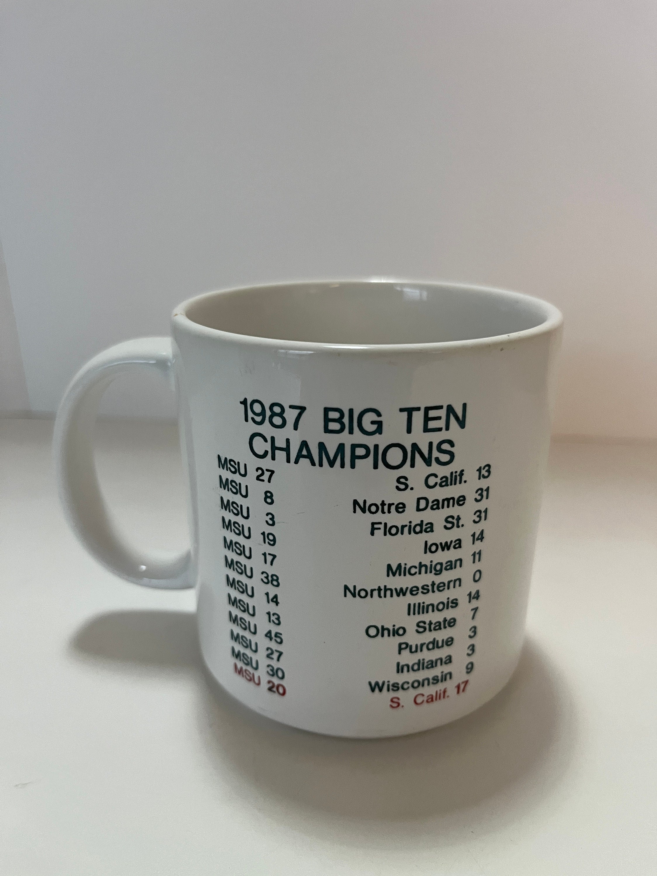 Champion 80sトリコタグ BigTen RoseBowl VTG 80s Champion Michigan Wolverines Rose Bowl 1989