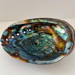 Iridescent/Rainbow Large Abalone Shell, Natural Abalone Shell, Shell Decor, Incense or Sage Dish, Smudge Bowl, Shell Bowl, Beach Decor,