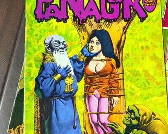 Fantagor 4 Underground Comic – Gory Stories Pulp Vintage (Missing Cover)