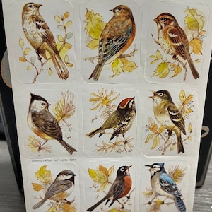 Vintage 1970s/80s Sticker Sheet: Fasson & American Greetings - Collectible