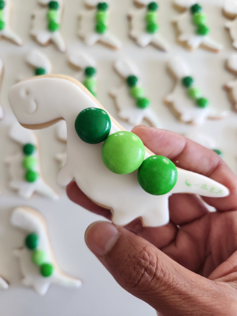 Paint Your Own Cookies Kit, Birthday Cookies, Cookie Favors, Pyo