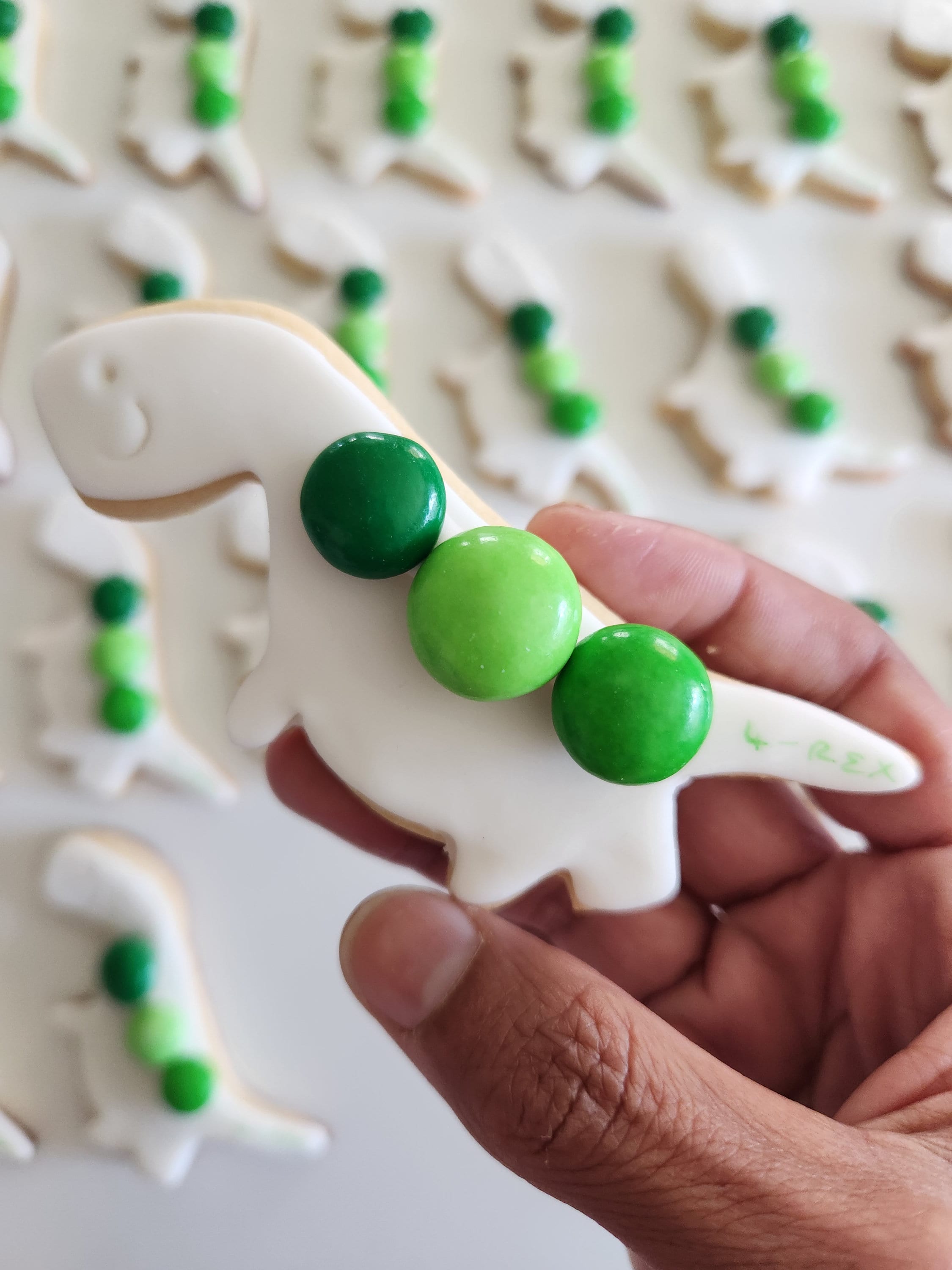 Paint Your Own Cookies Kit, Birthday Cookies, Cookie Favors, Pyo