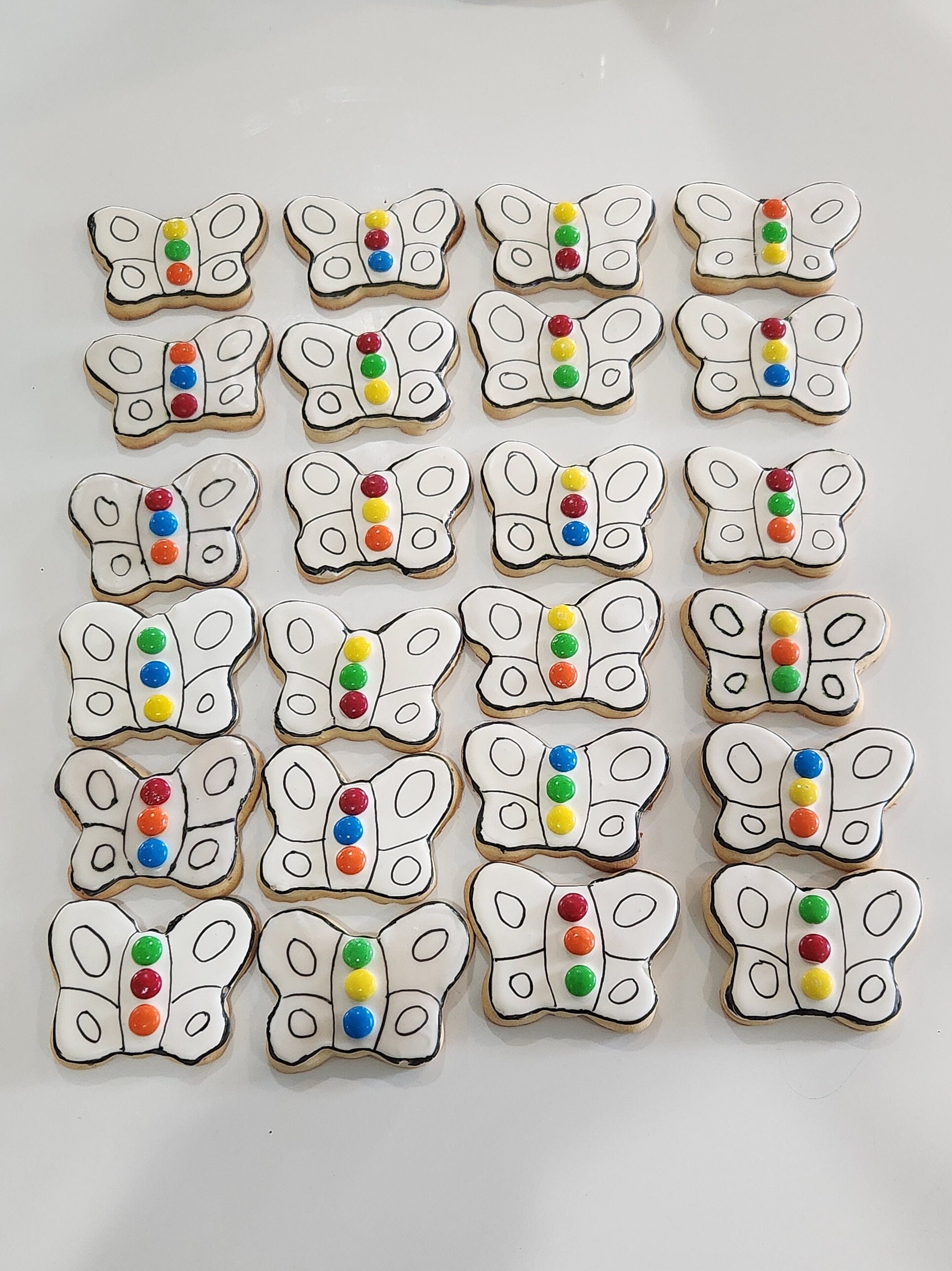 Paint Your Own Cookies Kit, Birthday Cookies, Cookie Favors, Pyo