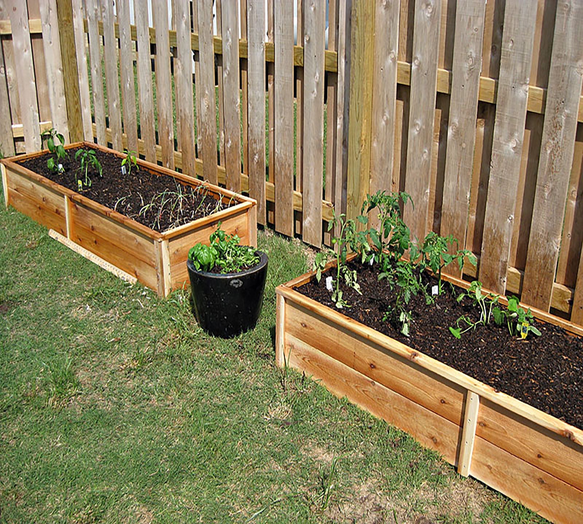 Raised Vegetable Garden Along Fence