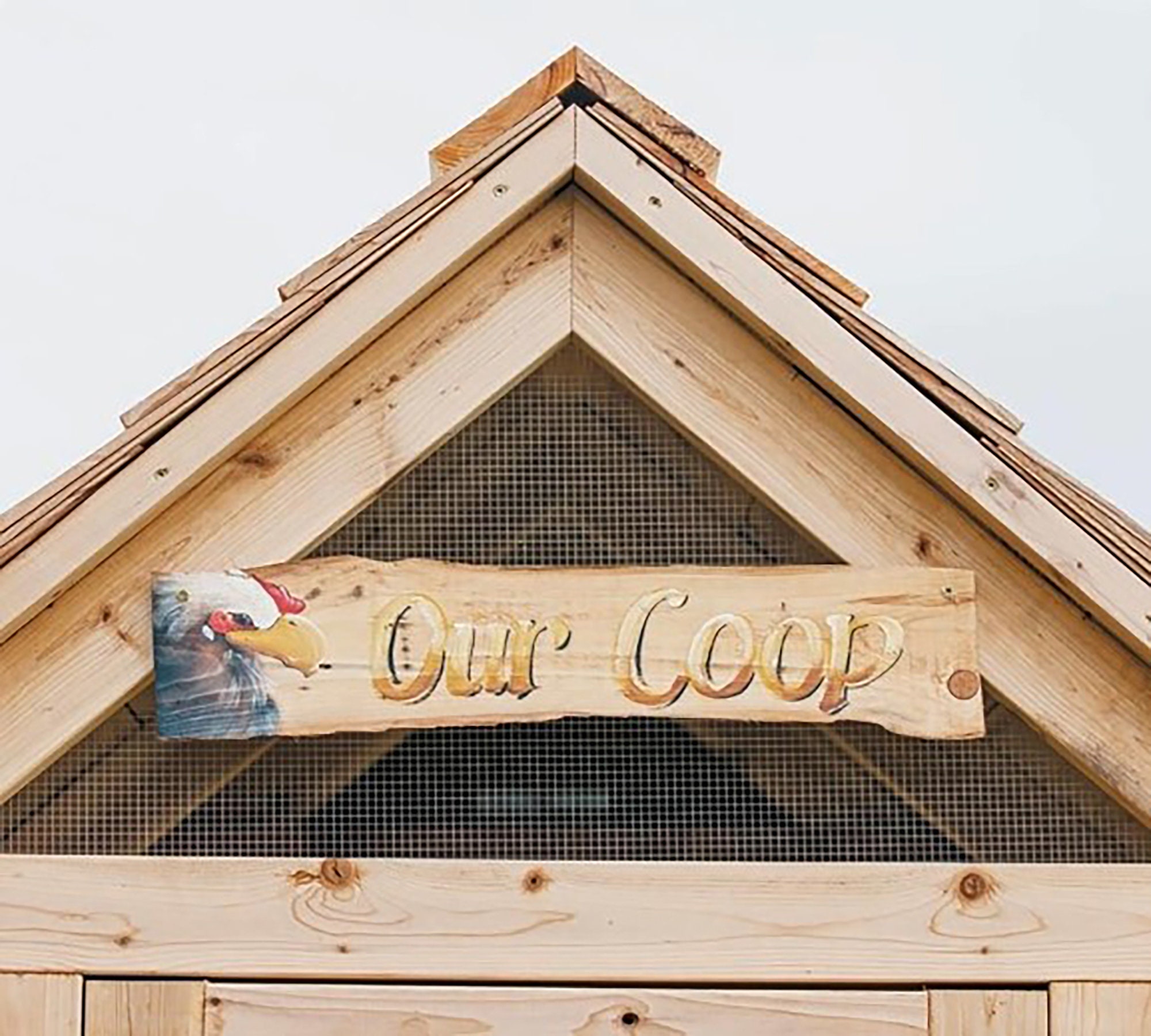 4 8foot Chicken Coop & Run Plans Chicken Coop Build Plan Chicken Run