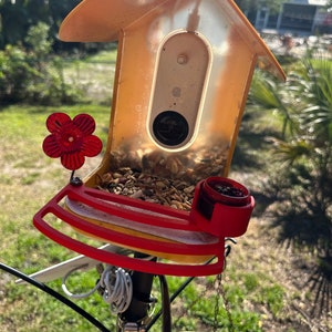 Bird Buddy 3D printed perch