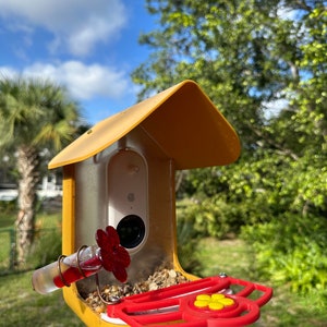 Comedero para colibríes de cristal Bird Buddy que se monta en la percha Bird Buddy imagen 9