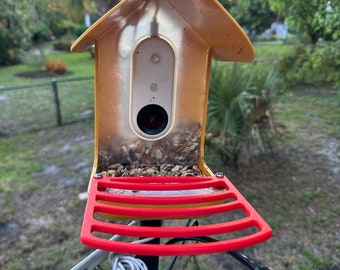 XL 3D printed perch for Bird Buddy feeder