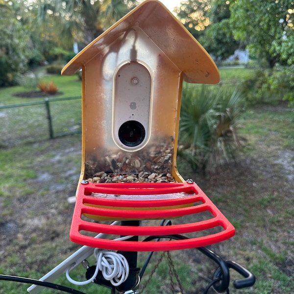 XL 3D printed perch for Bird Buddy feeder