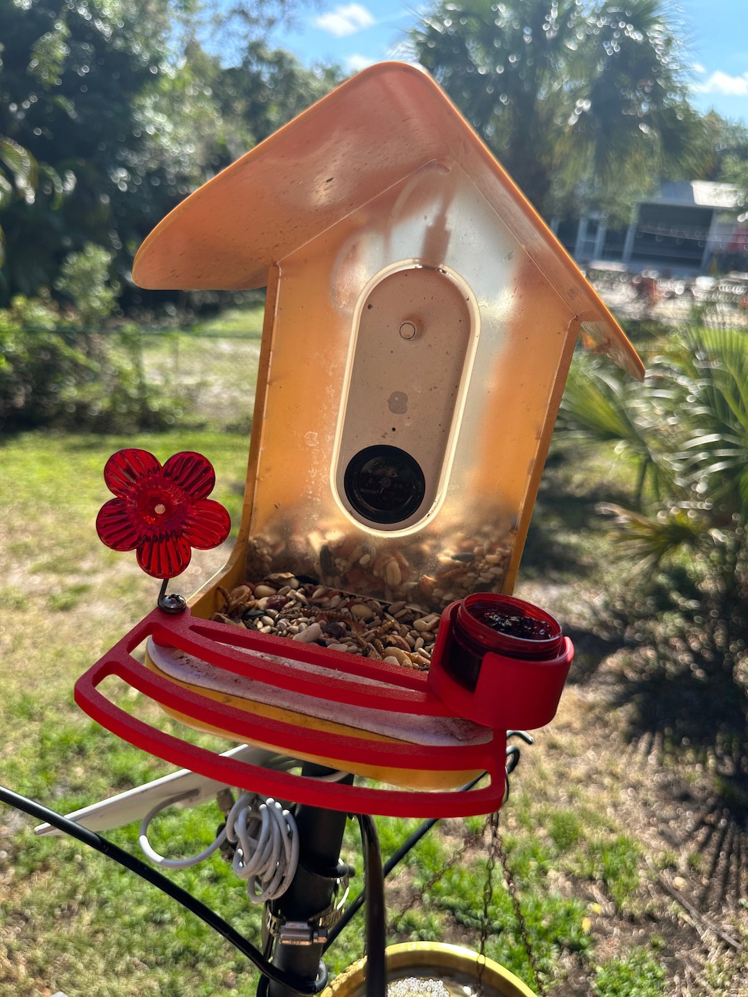 Bird Buddy 3D Printed Perch Etsy