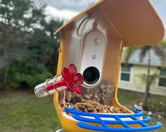 Bird Buddy Accessories – StramMade3D