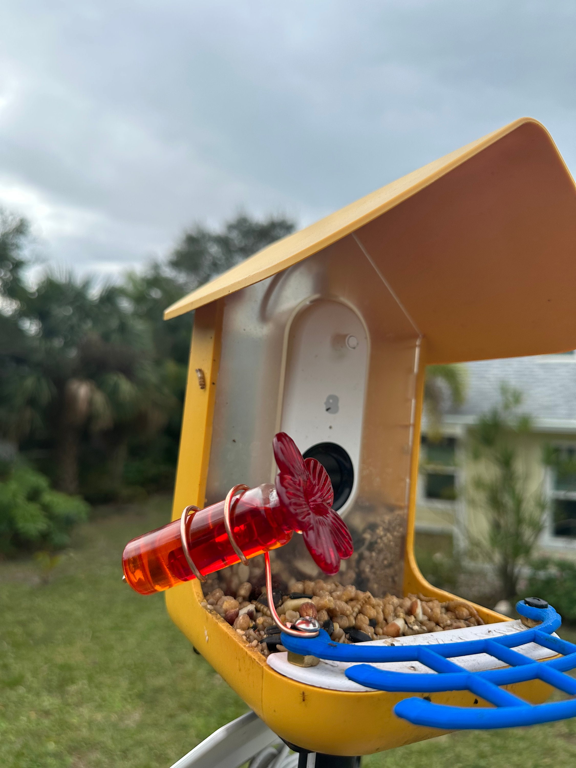 Bird Buddy Glass Hummingbird Feeder That Mounts on Bird Buddy Etsy