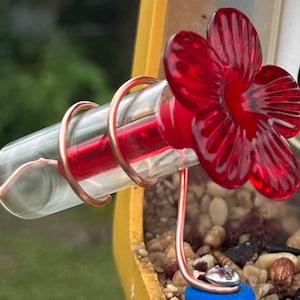 Bird Buddy Glass Hummingbird Feeder attachment that mounts on Bird Buddy perch