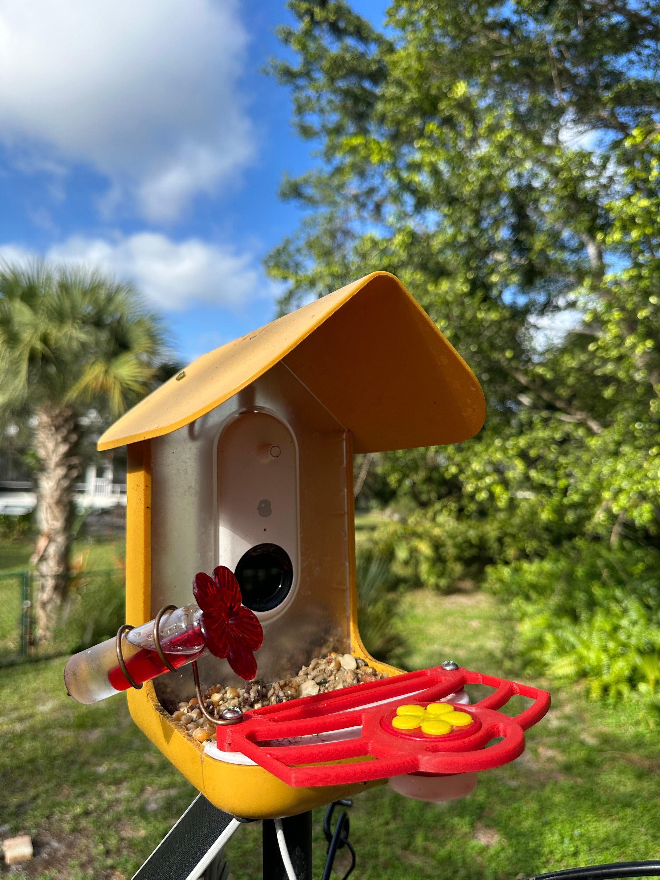 Bird Buddy Perch With Built in Hummingbird Feeder Etsy