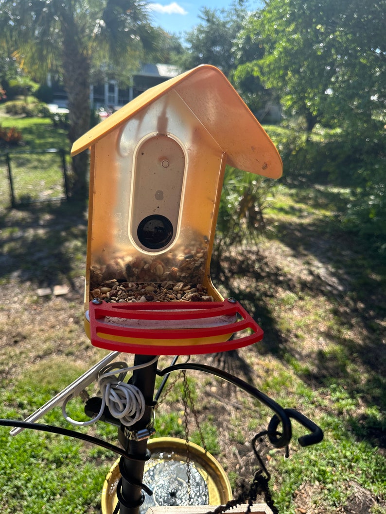 Bird Buddy 3D Printed Perch Etsy