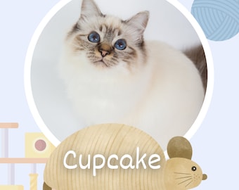 Cat Adoption Social Media Canva Templates, animal shelter pet profile, cat foster bio, animal rescue, pet fun facts, fostering a kitten